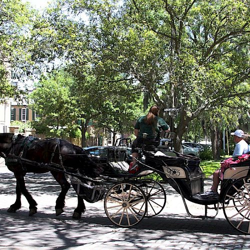 A horse-drawn carriage with a driver and a passenger moves along a shaded, cobblestone street surrounded by trees and historic buildings.