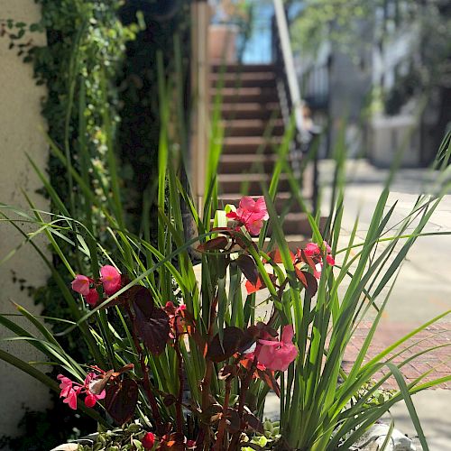 The image shows a garden scene with a flower pot featuring pink flowers and green leaves in the foreground, and a staircase in the background.