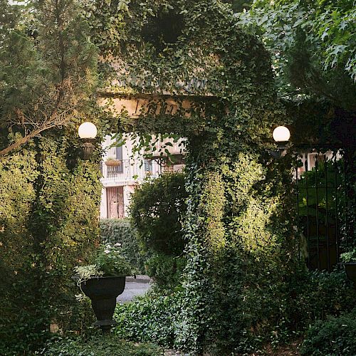 The image shows a leafy archway in a park, with a paved path below, lined with dense greenery and two spherical lamps hanging above.