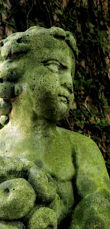 A moss-covered stone statue of a cherub holding fruit, with ivy and a tree trunk in the background. The statue appears weathered and old.